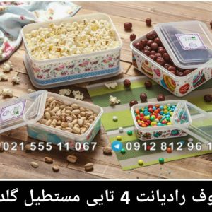 ظروف رادیانت 4 تایی مستطیل گلدار