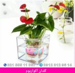 گلدان آکواریوم