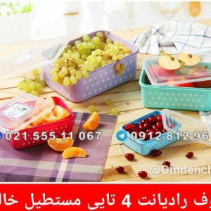 ظروف رادیانت 4 تایی مستطیل خالدار