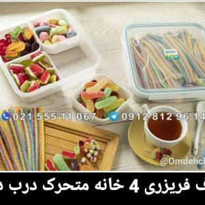 ظرف فریزری 4 خانه پلاس