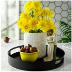 سینی فلزی دسته دار پلاس